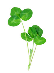 Similar image 2895820