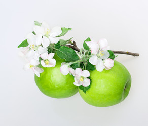 Similar image 2895823