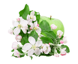 Similar image 2895824