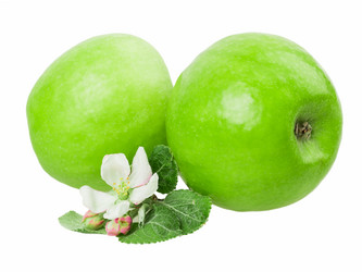 Similar image 2895828