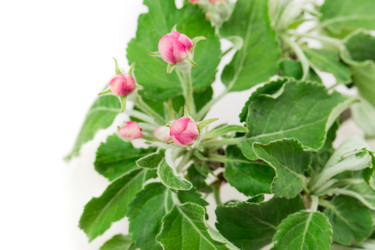 Similar image 2895829