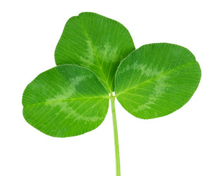 Similar image 2895831