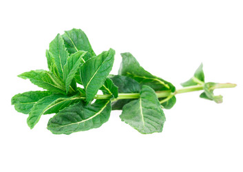 Similar image 2895835