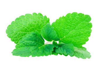 Similar image 2895836