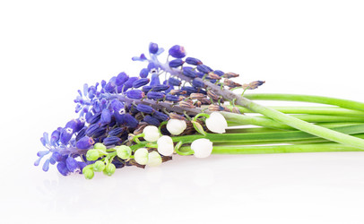 Similar image 2895839