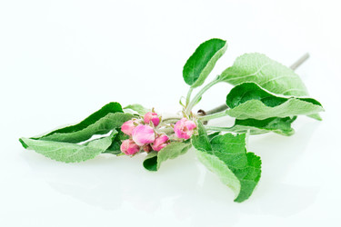 Similar image 2895842