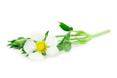 Similar image 2895843