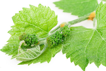 Similar image 2895844