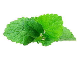 Similar image 2895845