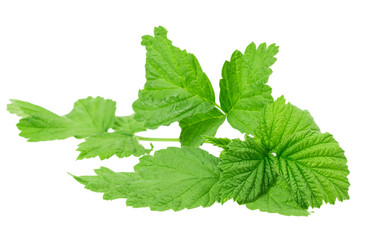 Similar image 2895848