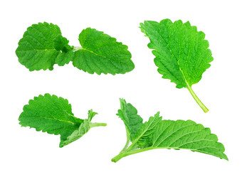 Similar image 2895853