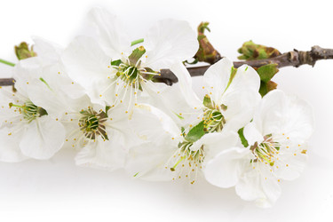 Similar image 2895855