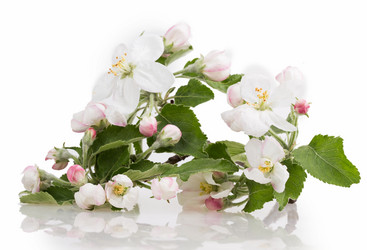 Similar image 2895856