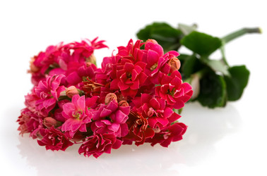 Similar image 2895859