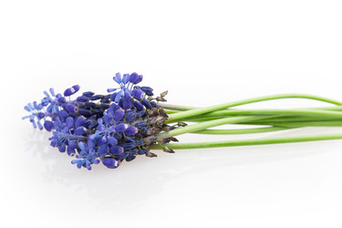 Similar image 2895860