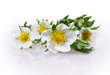 Similar image 2895872