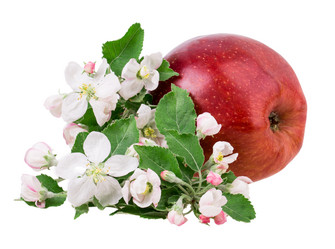 Similar image 2895875