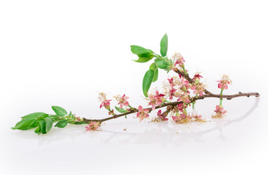 Similar image 2895877