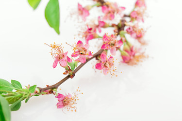 Similar image 2895878