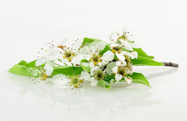 Similar image 2895879