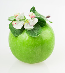 Similar image 2895880