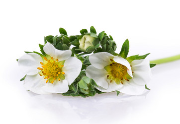 Similar image 2895884