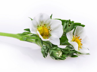 Similar image 2895885