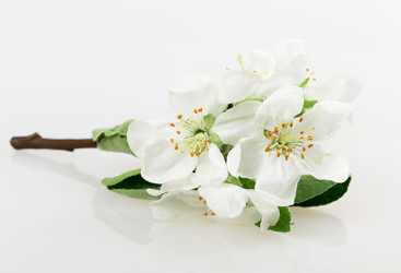 Similar image 2895886