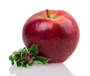 Similar image 2895888