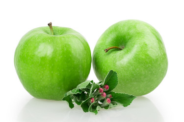 Similar image 2895889