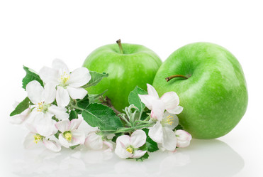 Similar image 2895890