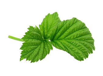 Similar image 2895894