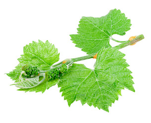 Similar image 2895902