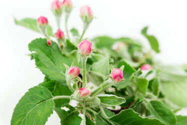 Similar image 2895906