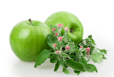 Similar image 2895907