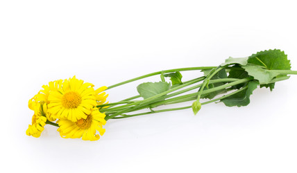 Similar image 2895910