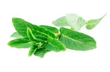 Similar image 2895911