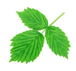 Similar image 2895914