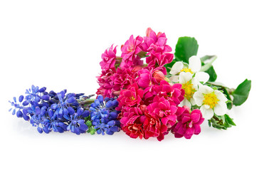 Similar image 2895922