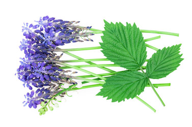 Similar image 2895923