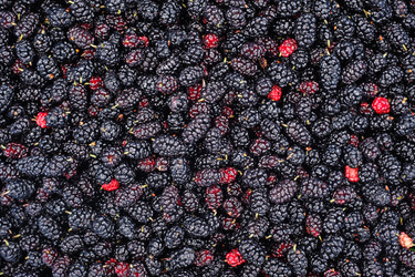 Similar image 2896015