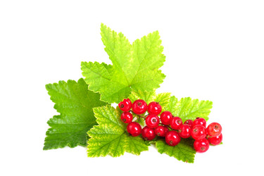 Similar image 2896016