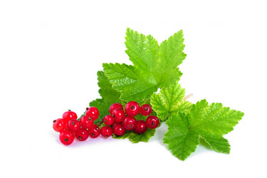 Similar image 2896017