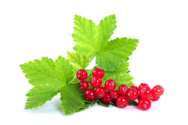 Similar image 2896024