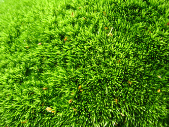 Similar image 2896083