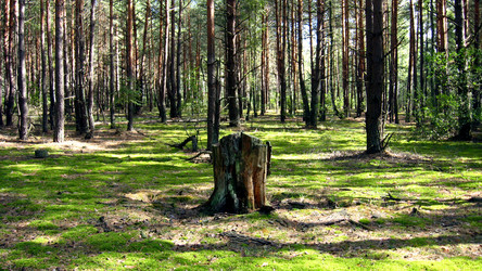 Similar image 2896084