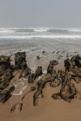 Similar image 2896096