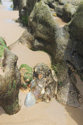 Similar image 2896098