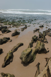 Similar image 2896099