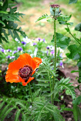 Similar image 2896107